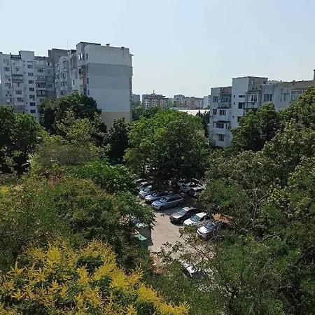 Welcome To Daisy Sunny Place! Apartment *